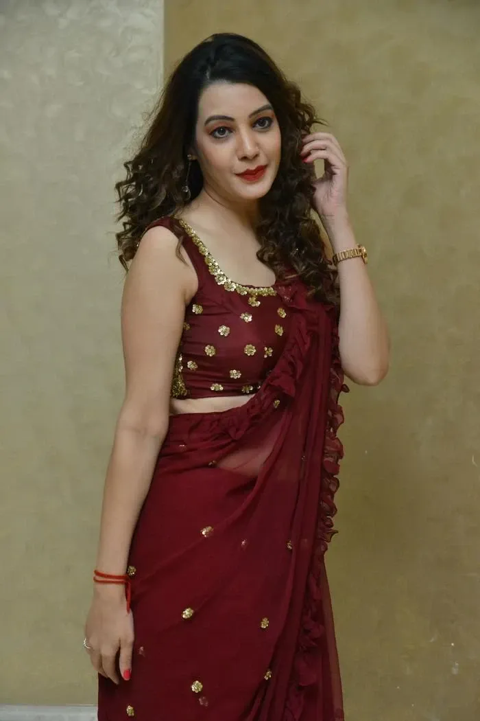 Diksha Panth In Maroon Saree At Movie Press Meet